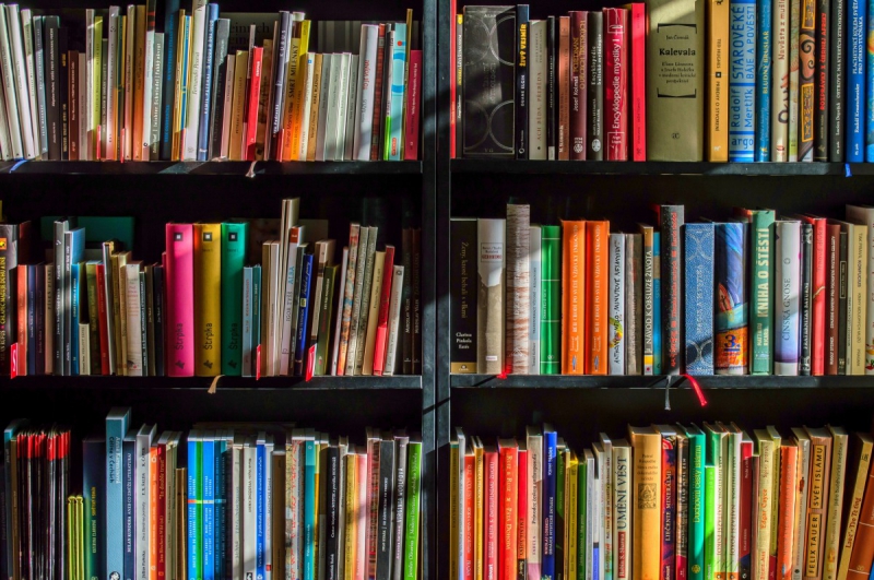 vitrine-MASSOINS-min_books_bookstore_book_reading_shop_writer_sale_books_read-822866