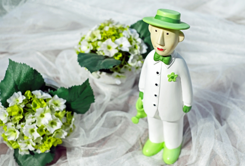 vitrine-MASSOINS-min_man-person-flower-green-toy-fig-546529-pxhere.com